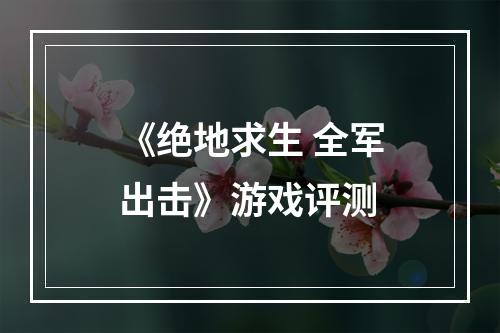 《绝地求生 全军出击》游戏评测