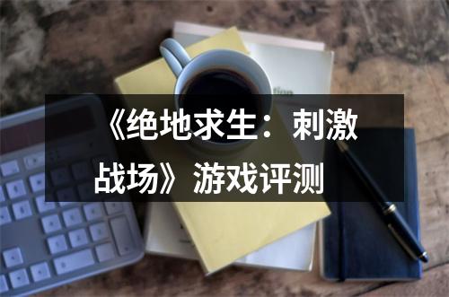 《绝地求生：刺激战场》游戏评测