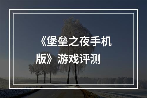 《堡垒之夜手机版》游戏评测