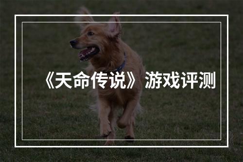 《天命传说》游戏评测