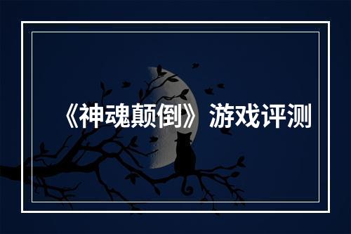 《神魂颠倒》游戏评测