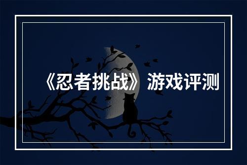 《忍者挑战》游戏评测