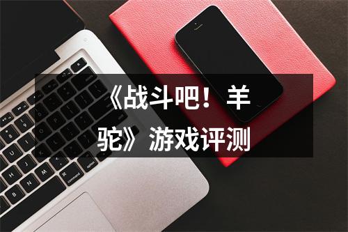 《战斗吧！羊驼》游戏评测