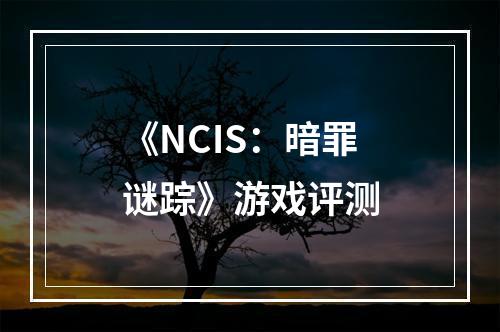 《NCIS：暗罪谜踪》游戏评测