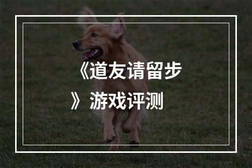 《道友请留步》游戏评测