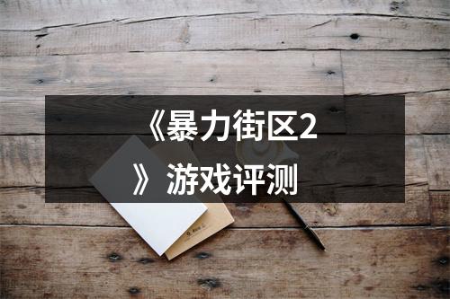 《暴力街区2》游戏评测