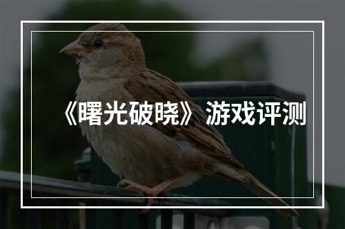 《曙光破晓》游戏评测