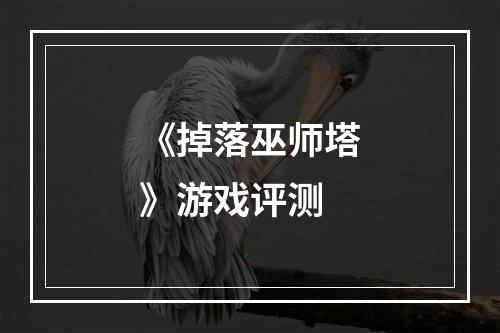 《掉落巫师塔》游戏评测