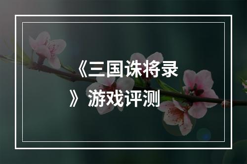 《三国诛将录》游戏评测