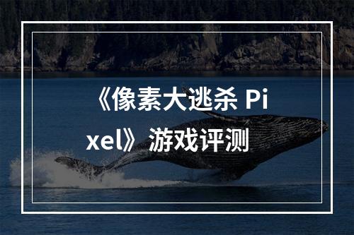 《像素大逃杀 Pixel》游戏评测