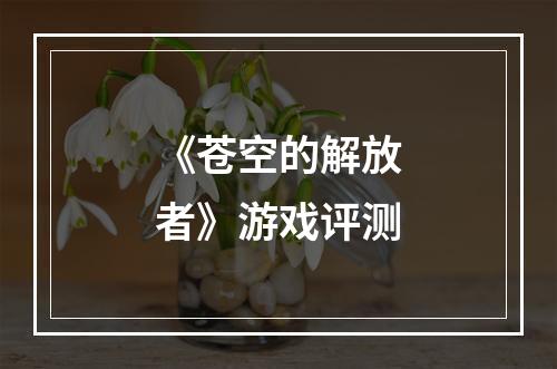 《苍空的解放者》游戏评测