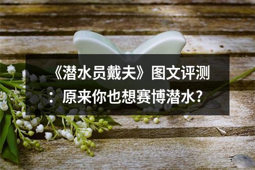 《潜水员戴夫》图文评测：原来你也想赛博潜水?