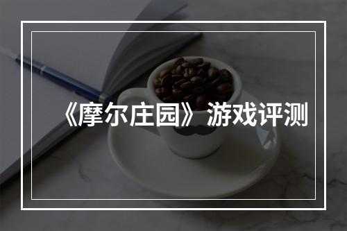 《摩尔庄园》游戏评测