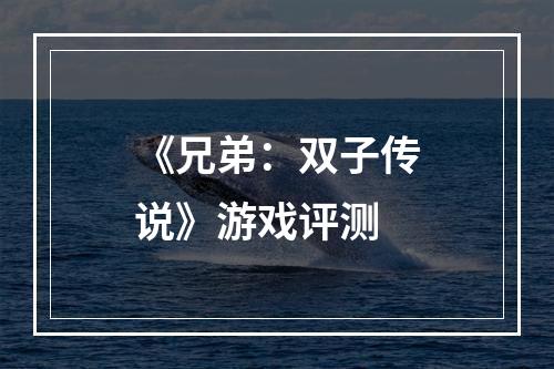 《兄弟：双子传说》游戏评测