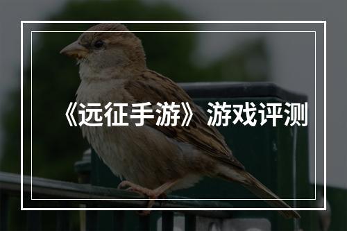 《远征手游》游戏评测