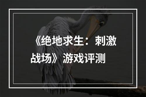 《绝地求生：刺激战场》游戏评测