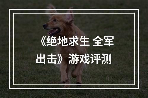 《绝地求生 全军出击》游戏评测