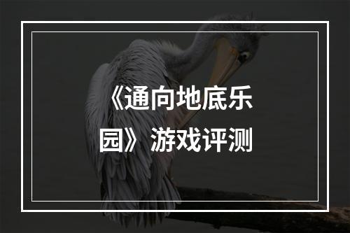 《通向地底乐园》游戏评测