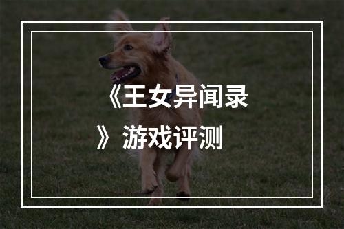 《王女异闻录》游戏评测