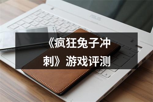 《疯狂兔子冲刺》游戏评测