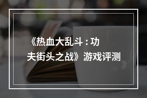 《热血大乱斗 : 功夫街头之战》游戏评测